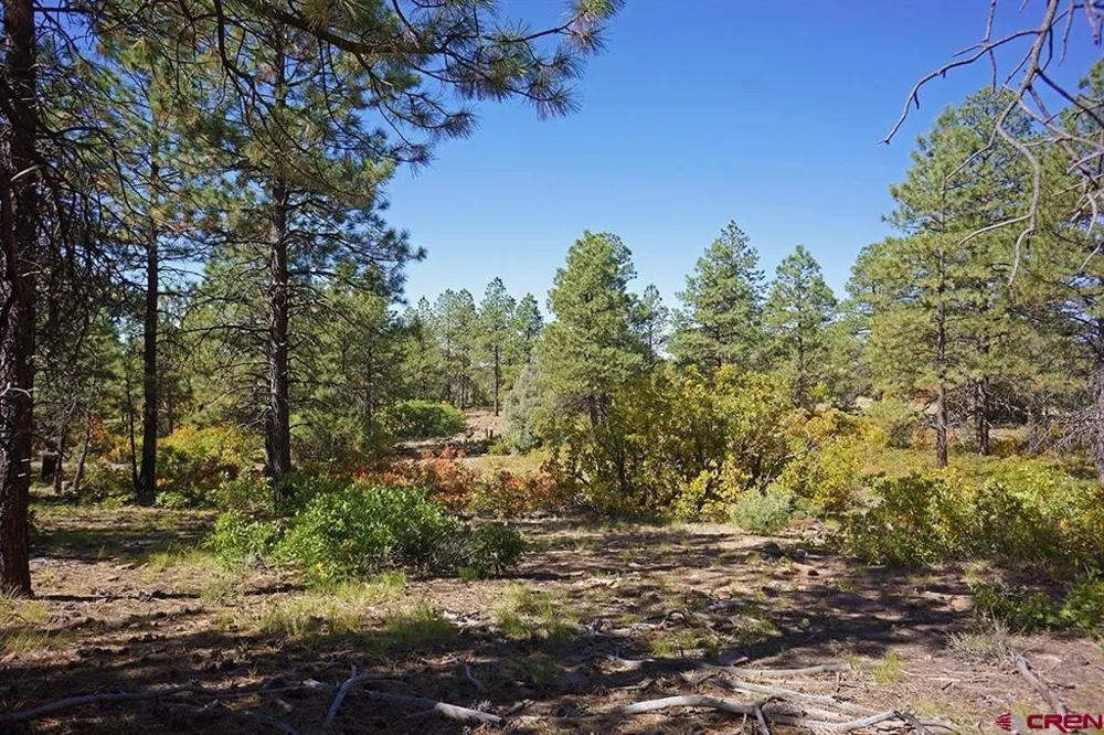 Road 36.5 Mancos, CO 81328