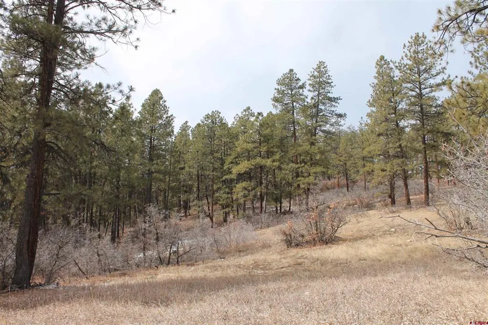 31861 E Highway 160 Bayfield, CO 81122