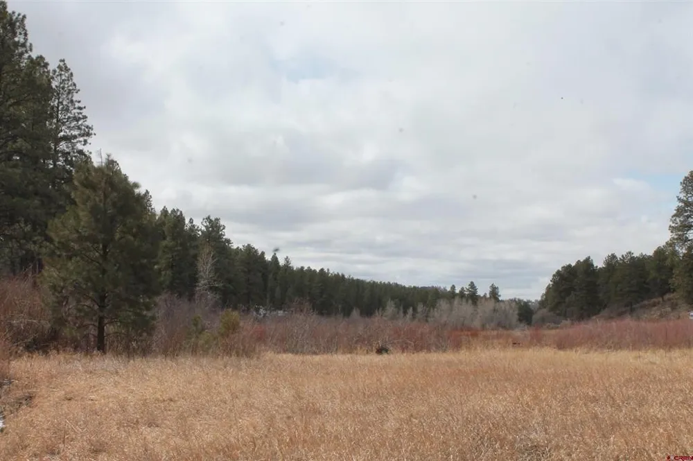 31861 E Highway 160 Bayfield, CO 81122