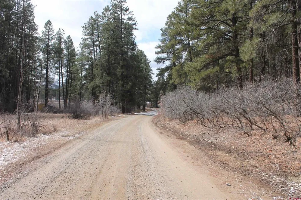 31861 E Highway 160 Bayfield, CO 81122