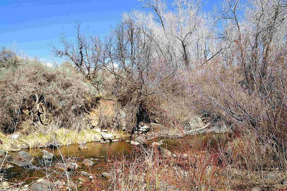 SE 3rd Lot 5 Will-O-Way Subdivision Street Cedaredge, CO 81413