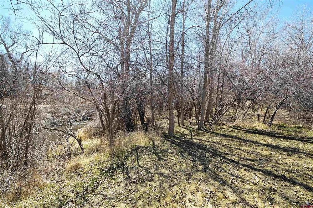 SE 3rd Lot 5 Will-O-Way Subdivision Street Cedaredge, CO 81413