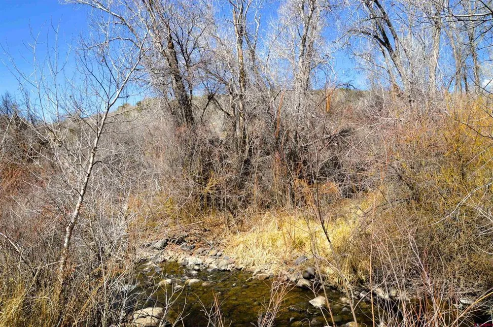 SE 3rd Lot 5 Will-O-Way Subdivision Street Cedaredge, CO 81413