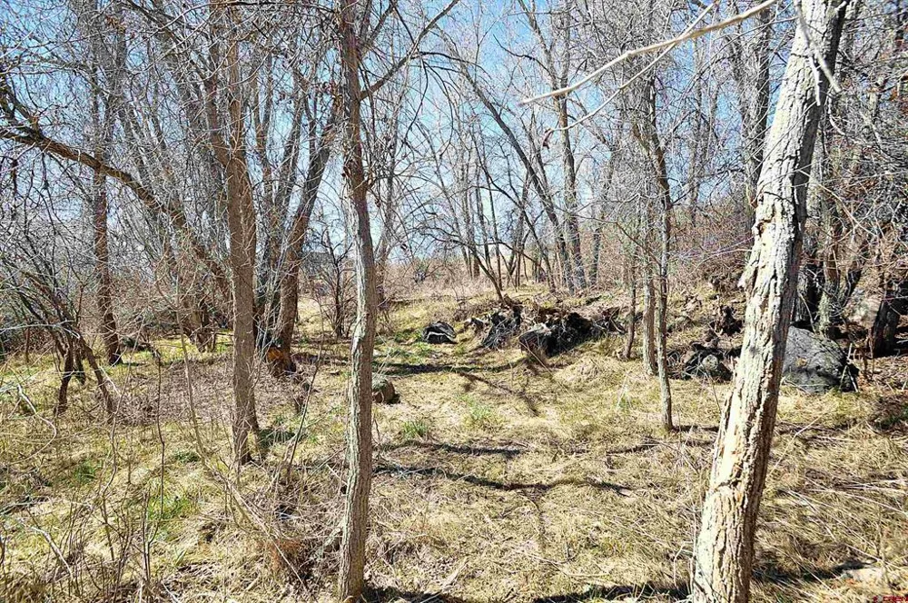 SE 3rd Lot 5 Will-O-Way Subdivision Street Cedaredge, CO 81413