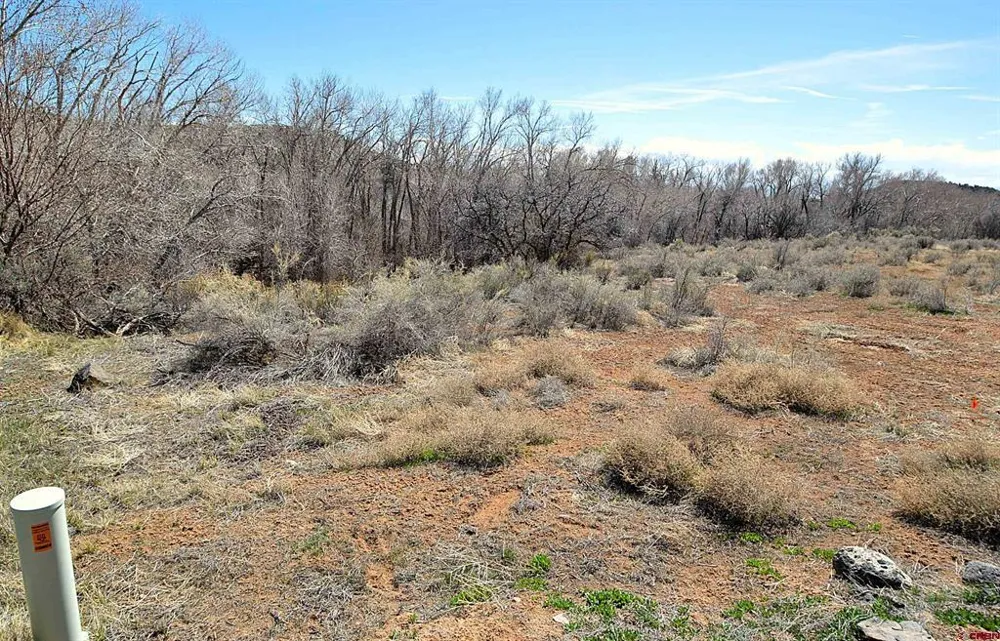SE 3rd Lot 5 Will-O-Way Subdivision Street Cedaredge, CO 81413