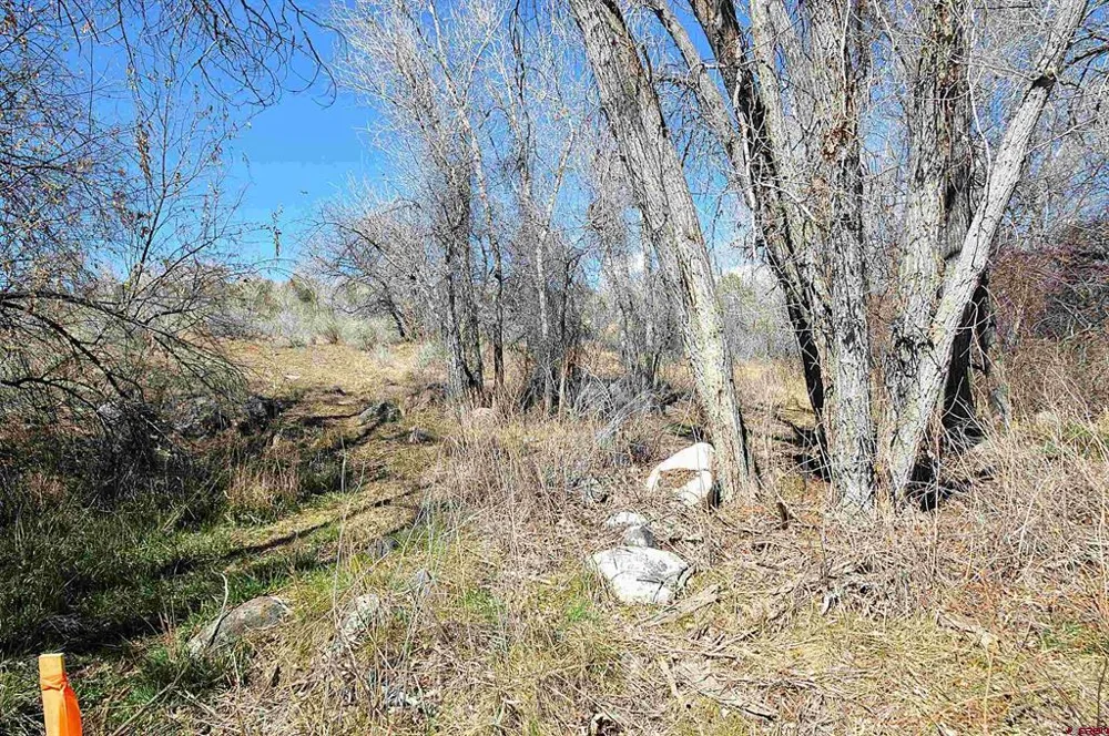 SE 3rd Lot 5 Will-O-Way Subdivision Street Cedaredge, CO 81413