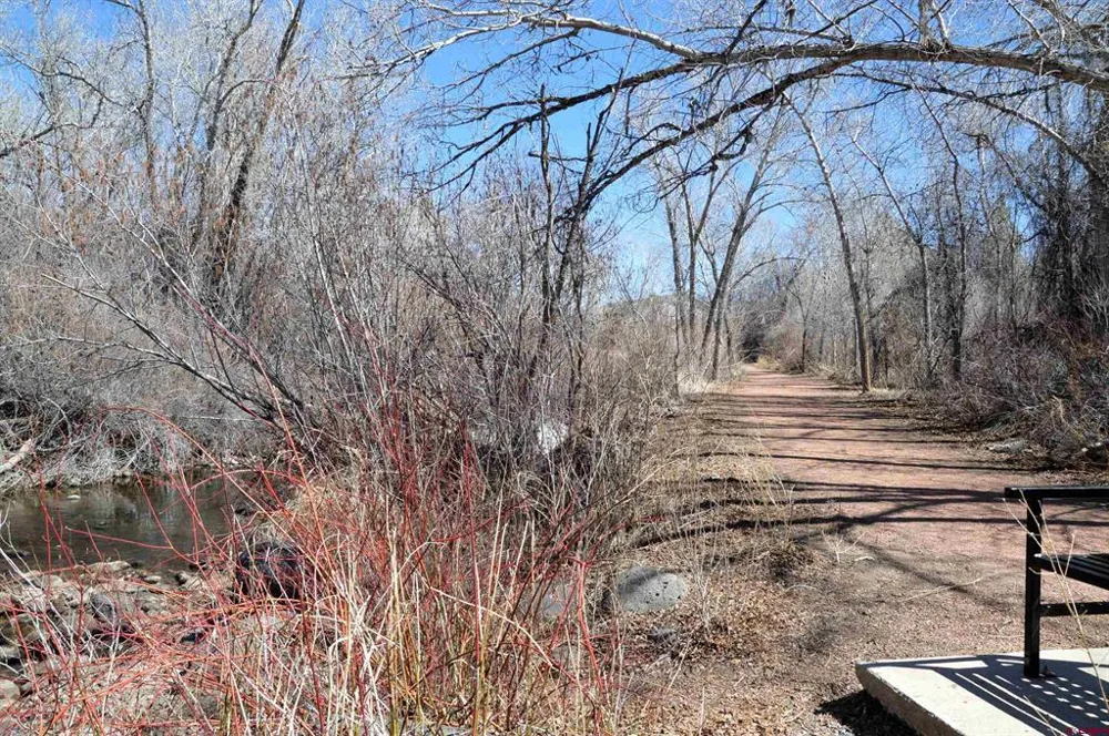 SE 3rd Lot 5 Will-O-Way Subdivision Street Cedaredge, CO 81413