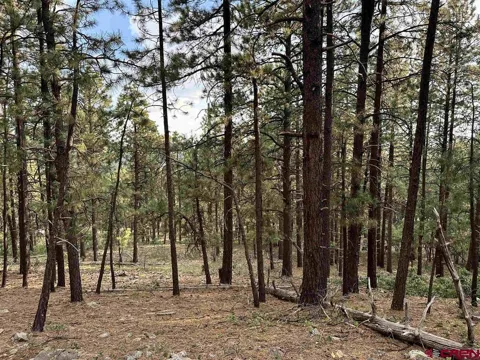 259 Hillside Circle