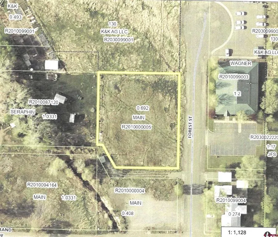 1130 Forest Street Norwood, CO 81423