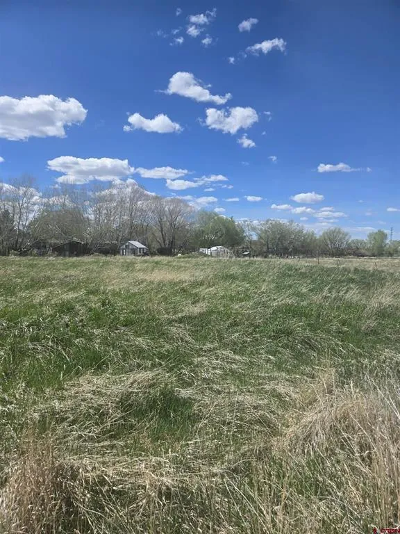 1130 Forest Street Norwood, CO 81423