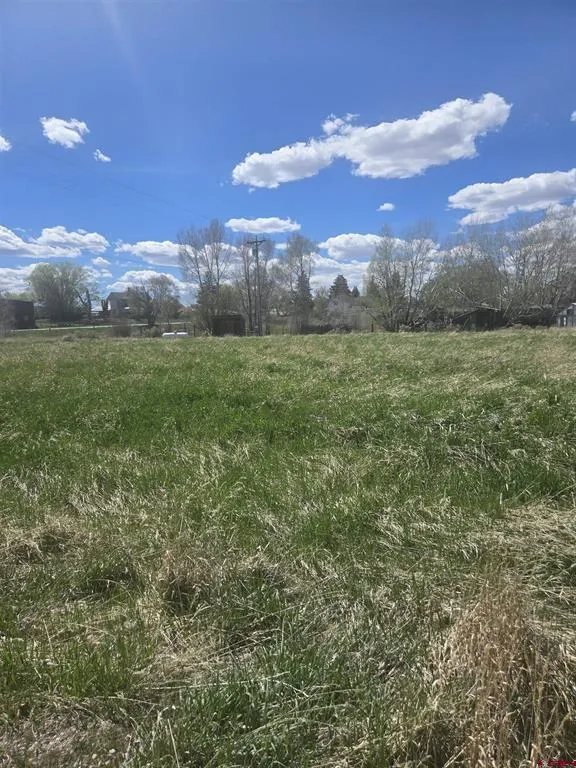 1130 Forest Street Norwood, CO 81423