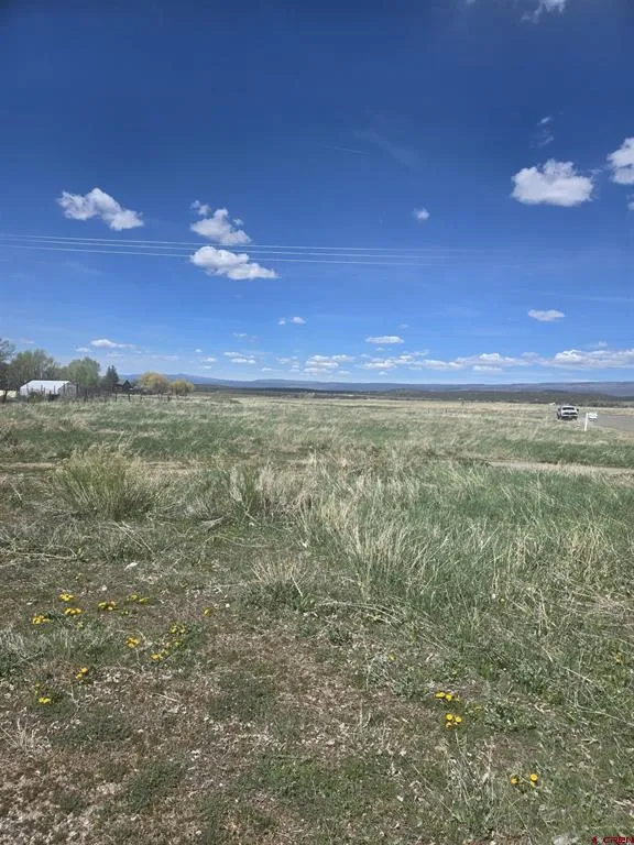 1130 Forest Street Norwood, CO 81423