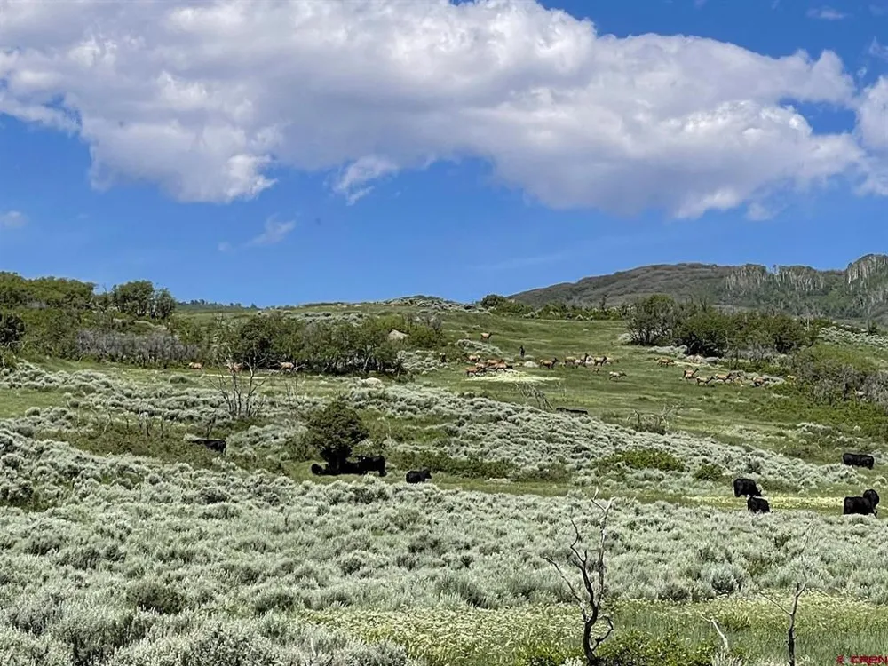 22000 P77 ROAD Cimarron, CO 81220
