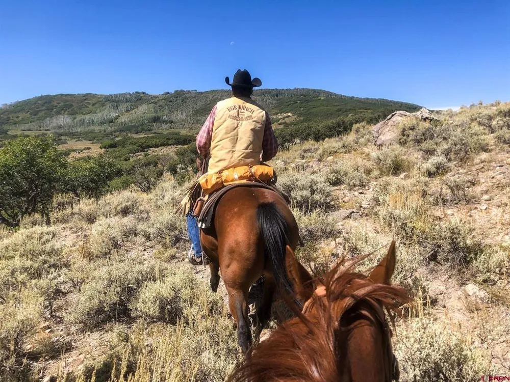 22000 P77 ROAD Cimarron, CO 81220