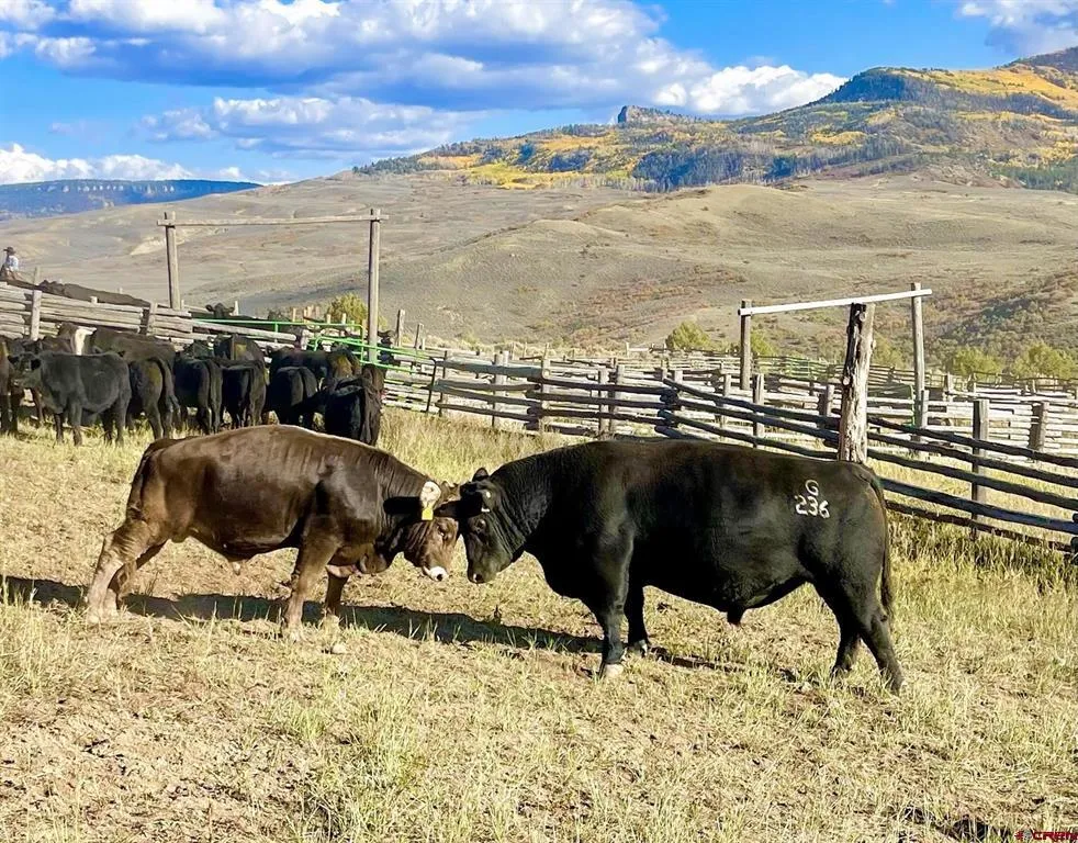 22000 P77 ROAD Cimarron, CO 81220