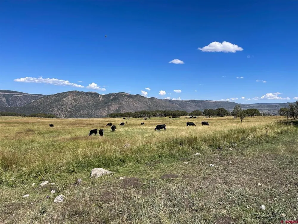 22000 P77 ROAD Cimarron, CO 81220