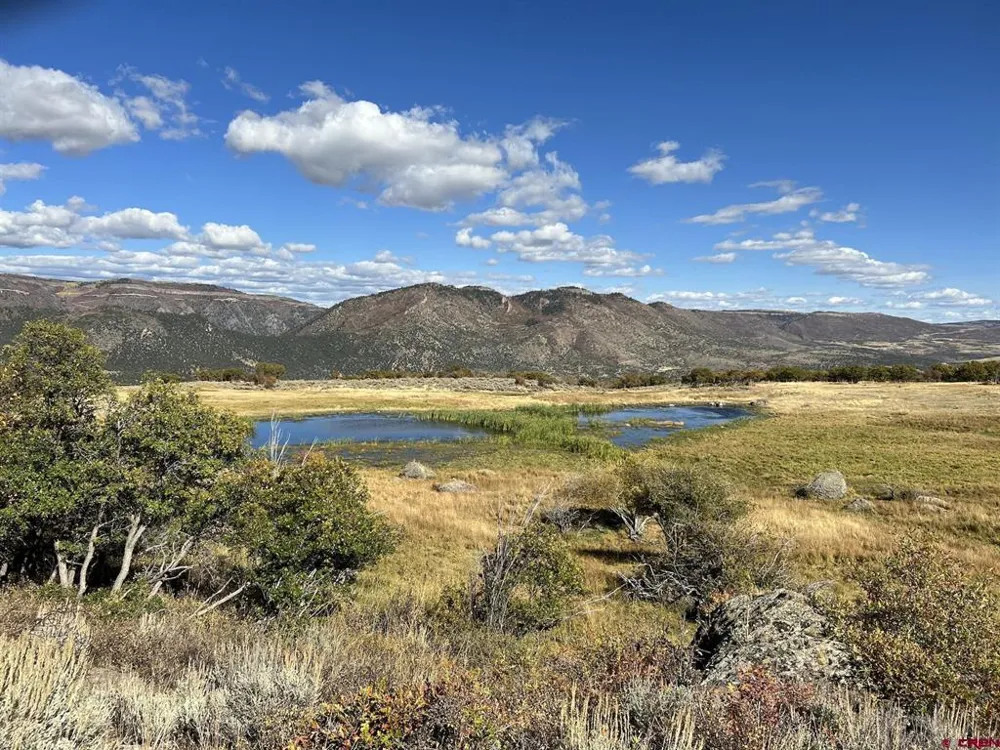 22000 P77 ROAD Cimarron, CO 81220
