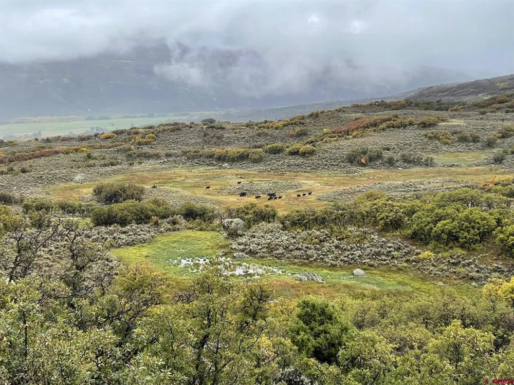 22000 P77 ROAD Cimarron, CO 81220