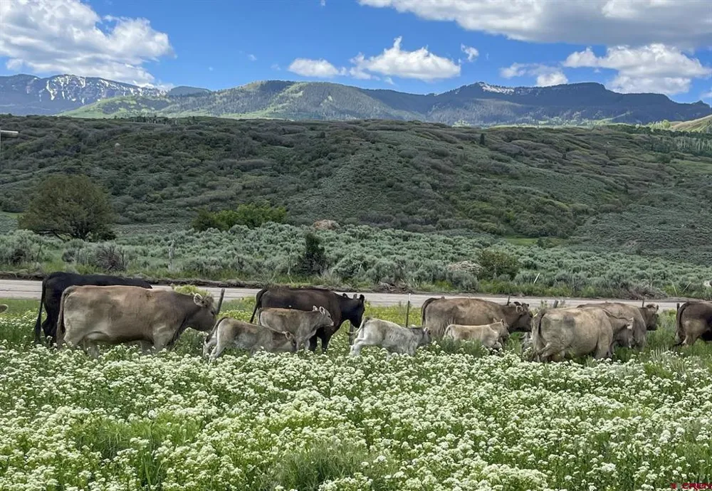 22000 P77 ROAD Cimarron, CO 81220