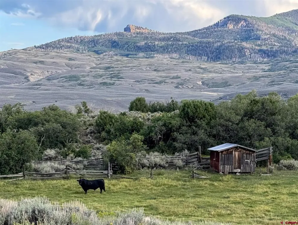 22000 P77 ROAD Cimarron, CO 81220