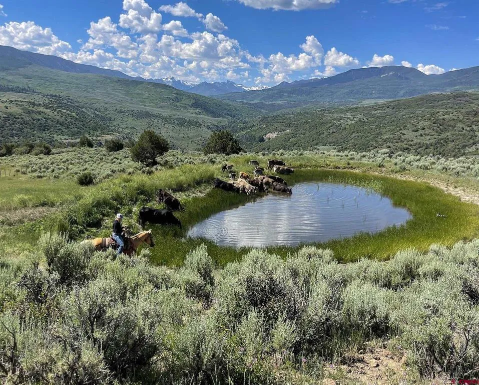 22000 P77 ROAD Cimarron, CO 81220