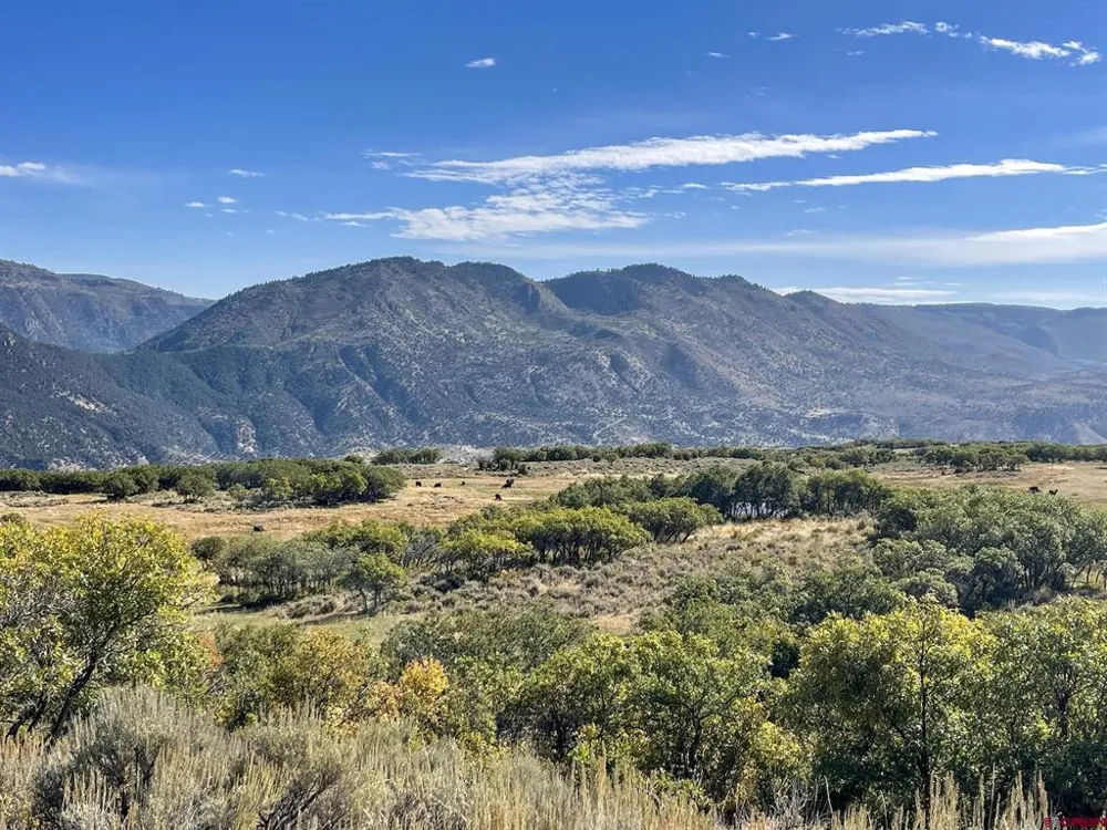 22000 P77 ROAD Cimarron, CO 81220