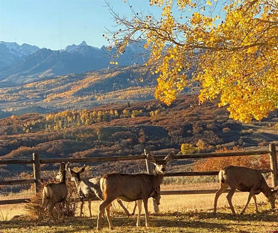 22000 P77 ROAD Cimarron, CO 81220