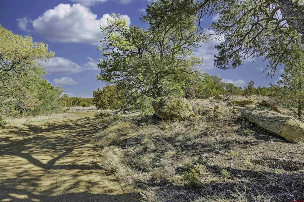 4178 CO RD 504 Walsenburg, CO 81089