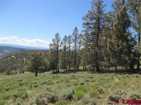308 Cinnamon Trail