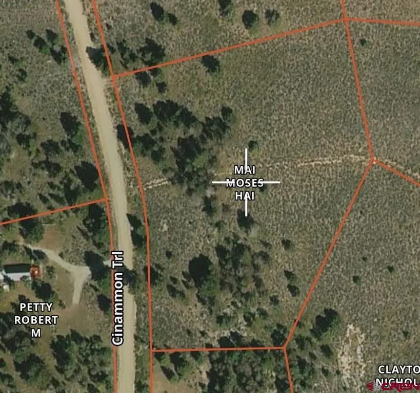 308 Cinnamon Trail Powderhorn, CO 81243