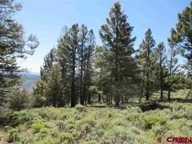 308 Cinnamon Trail Powderhorn, CO 81243