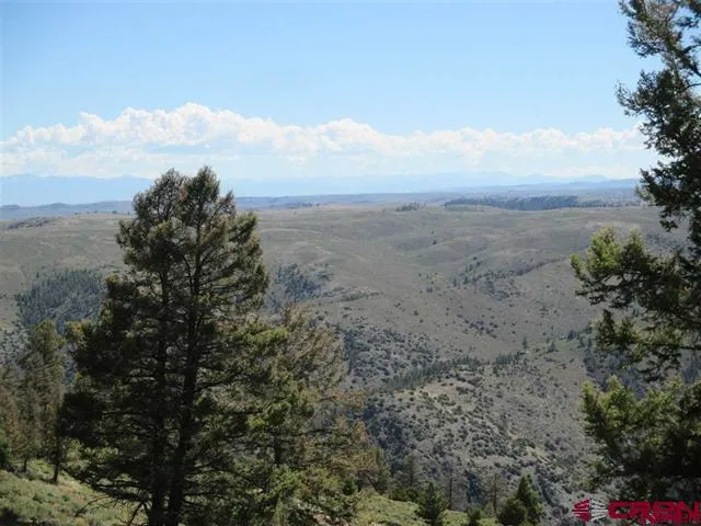 308 Cinnamon Trail Powderhorn, CO 81243
