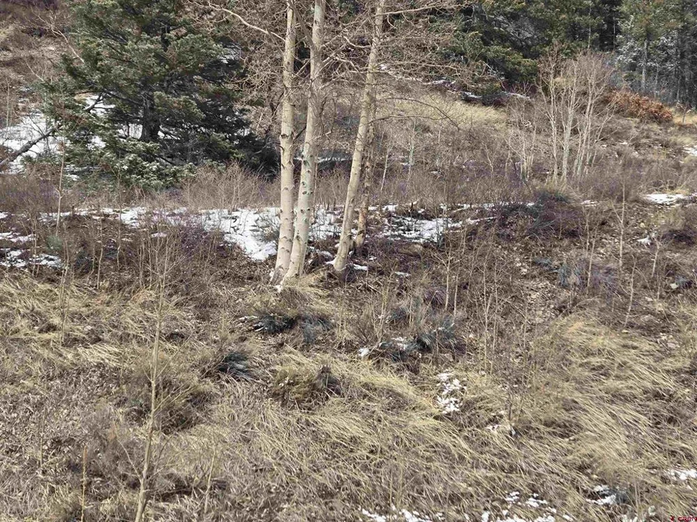 2 Balleroy Fort  Garland, CO 81133