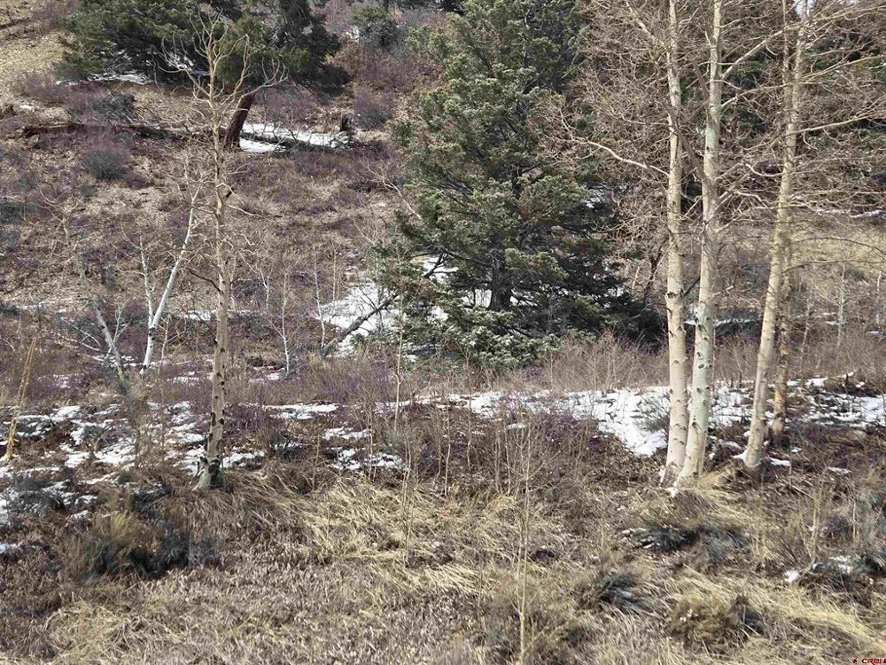 2 Balleroy Fort  Garland, CO 81133