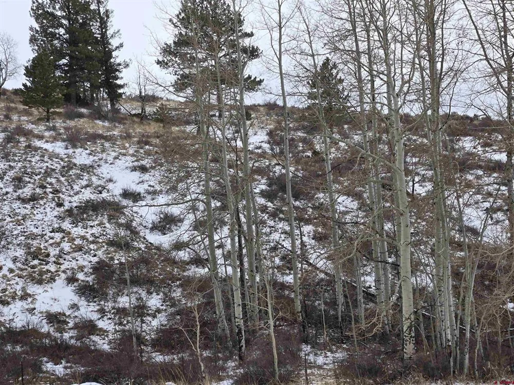 2 Balleroy Fort  Garland, CO 81133