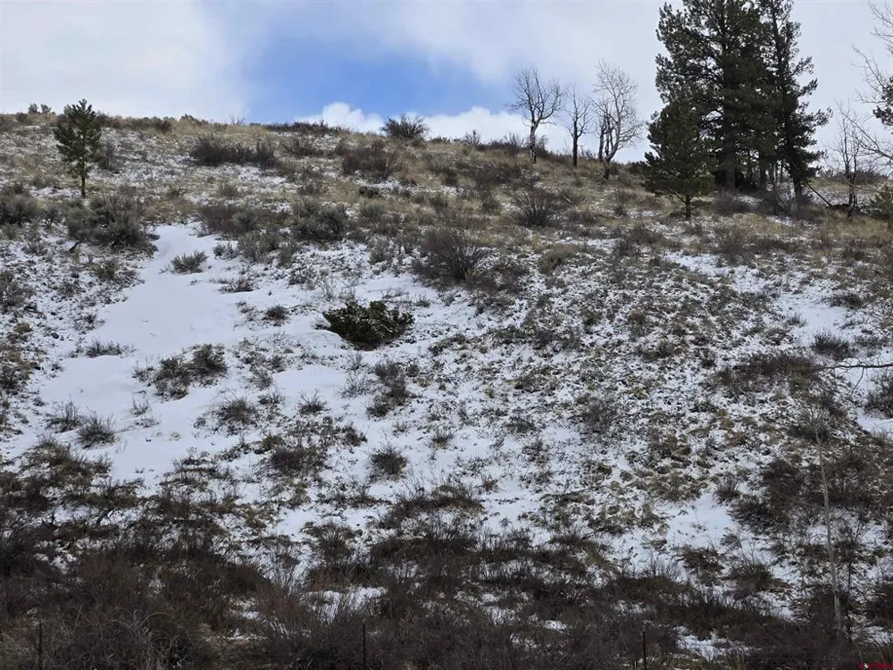 2 Balleroy Fort  Garland, CO 81133