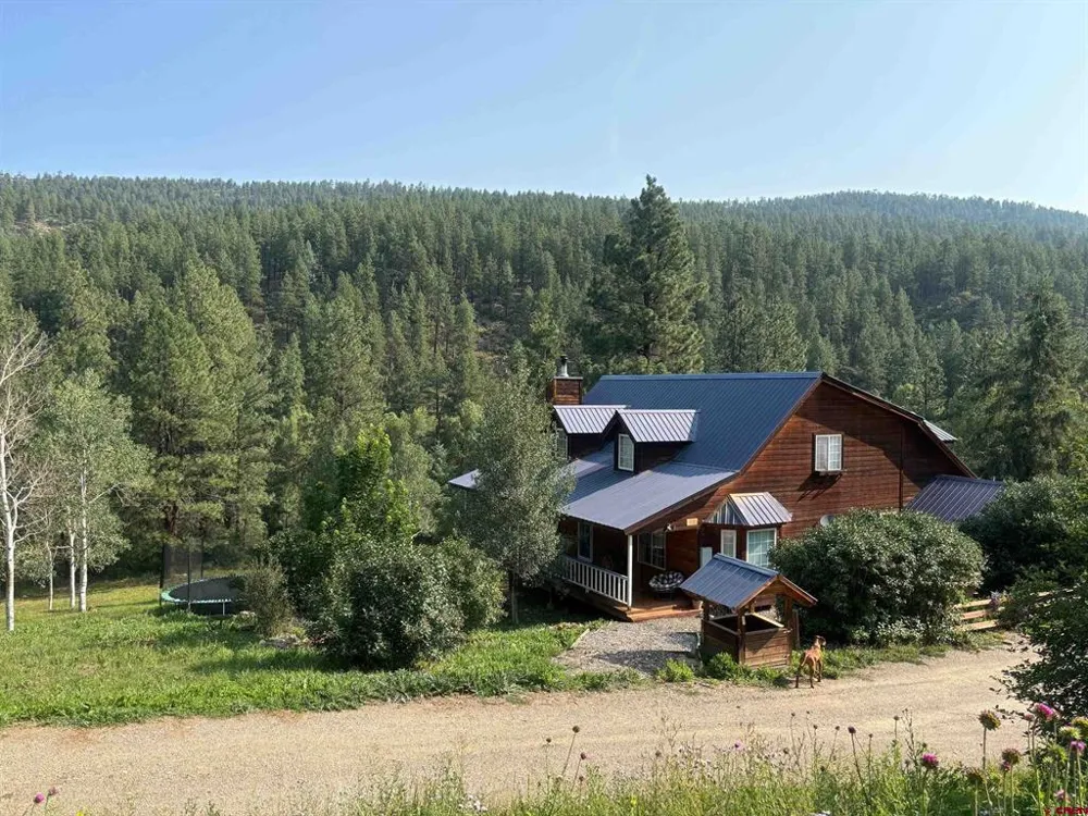2237 Bear Creek Canyon Road Bayfield, CO 81122