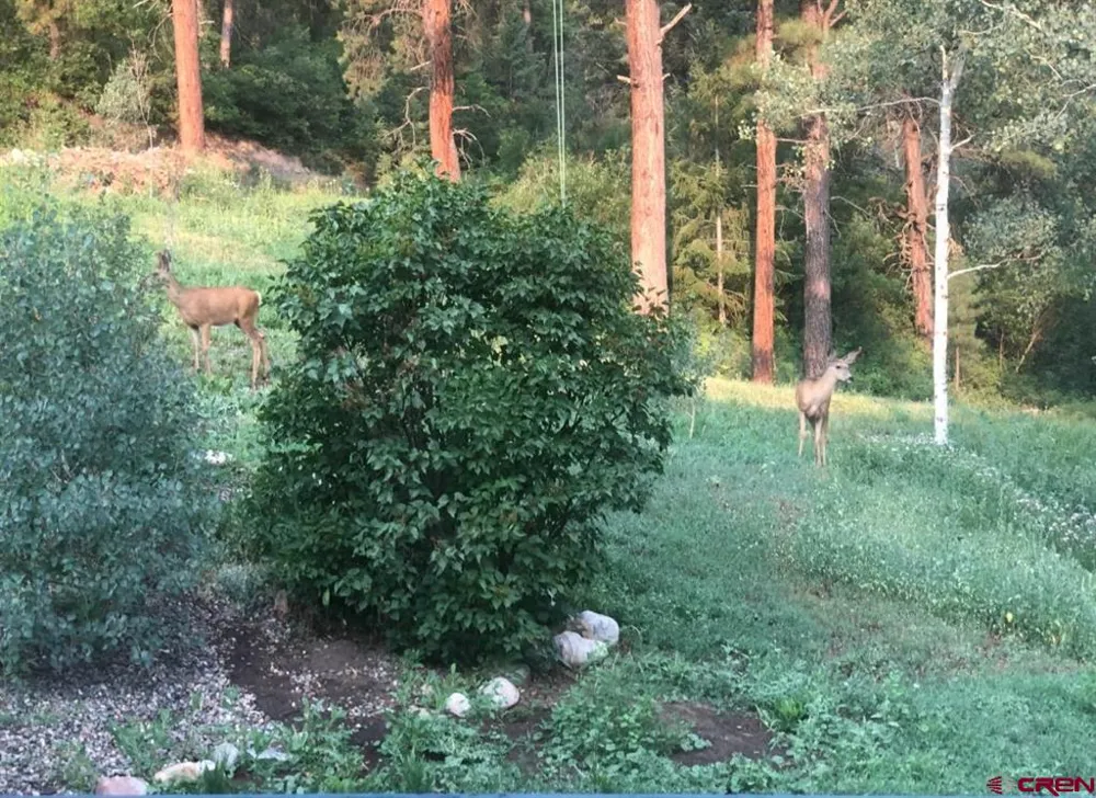 2237 Bear Creek Canyon Road Bayfield, CO 81122