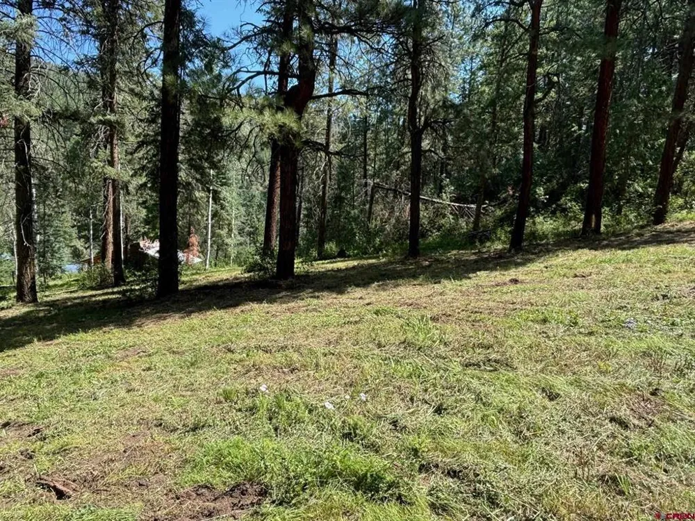 2237 Bear Creek Canyon Road Bayfield, CO 81122