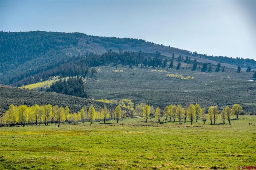 623 County Road 813 Almont, CO 81210
