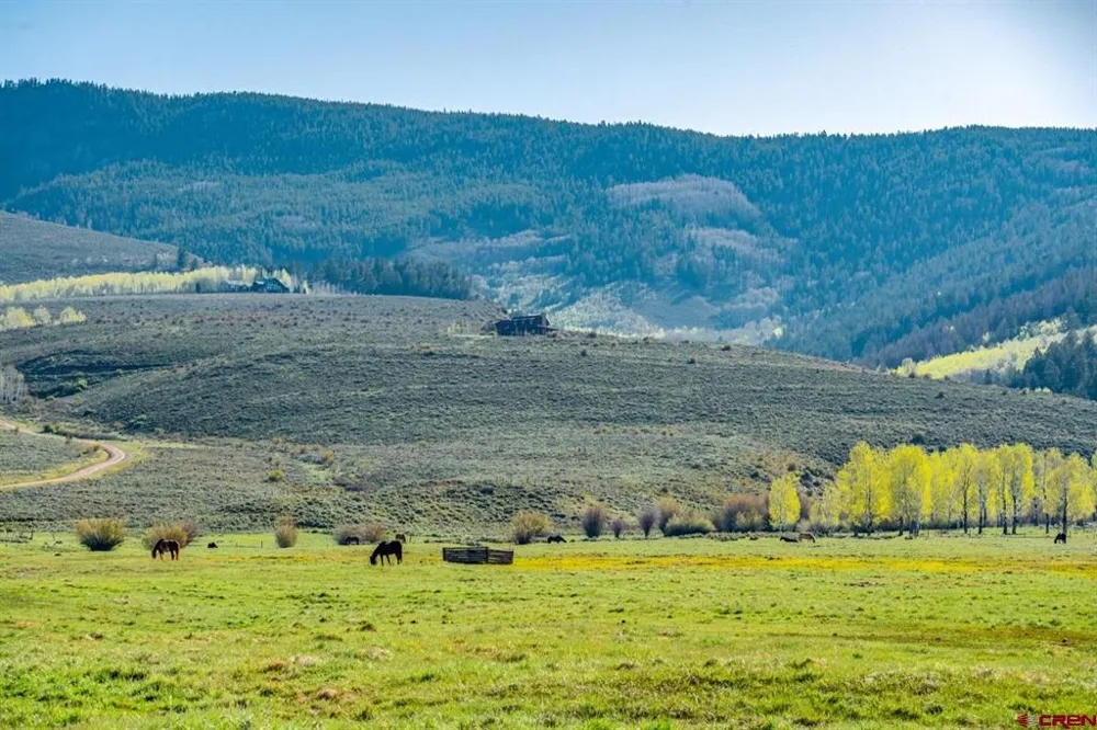 623 County Road 813 Almont, CO 81210