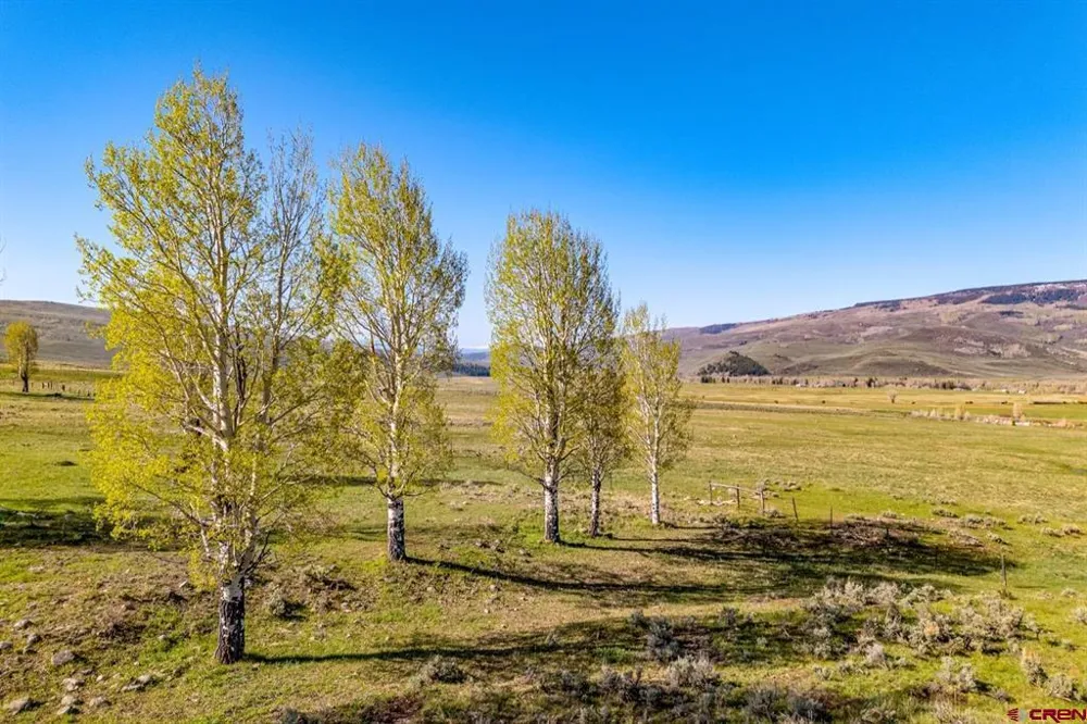 623 County Road 813 Almont, CO 81210