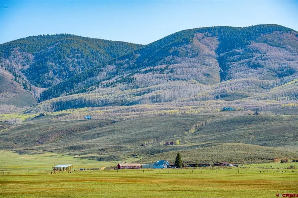 623 County Road 813 Almont, CO 81210