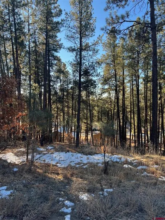 567 Mesa Drive Bayfield, CO 81122