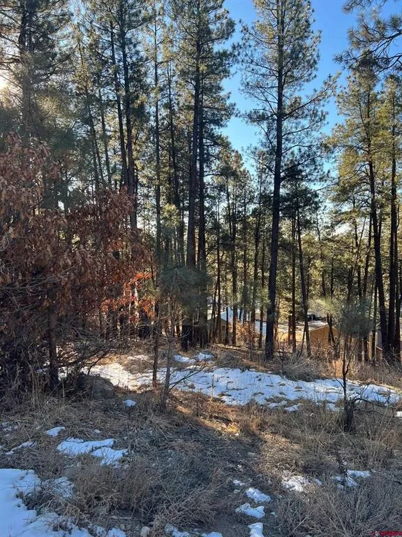 567 Mesa Drive Bayfield, CO 81122