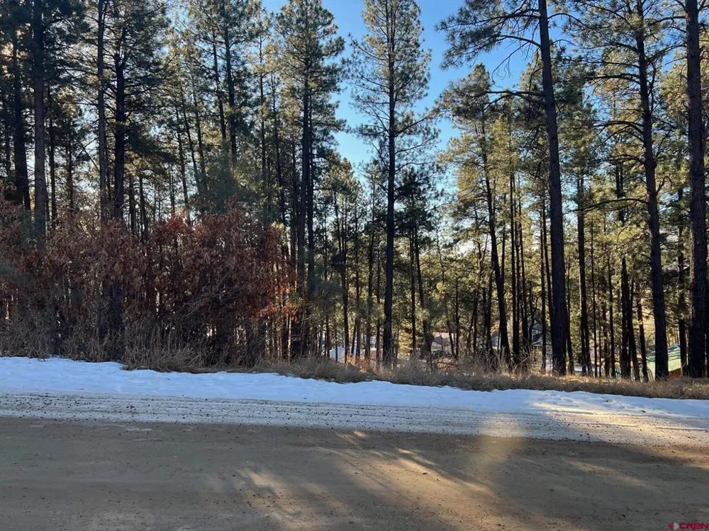 567 Mesa Drive Bayfield, CO 81122