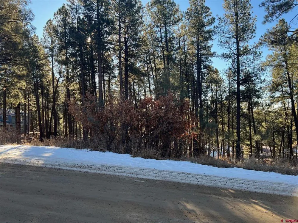 567 Mesa Drive Bayfield, CO 81122