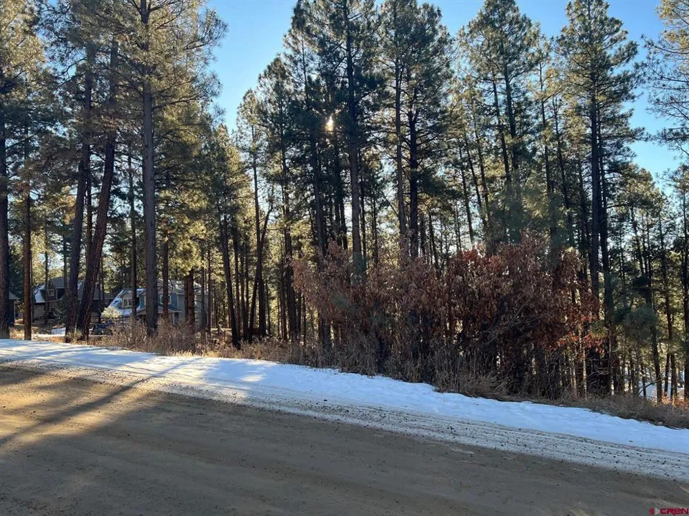 567 Mesa Drive Bayfield, CO 81122