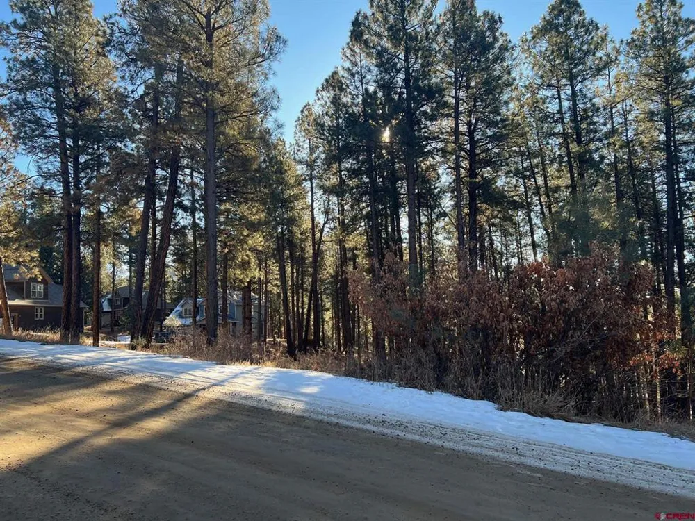 567 Mesa Drive Bayfield, CO 81122