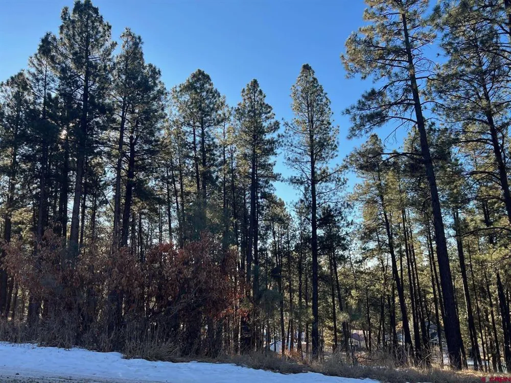 567 Mesa Drive Bayfield, CO 81122